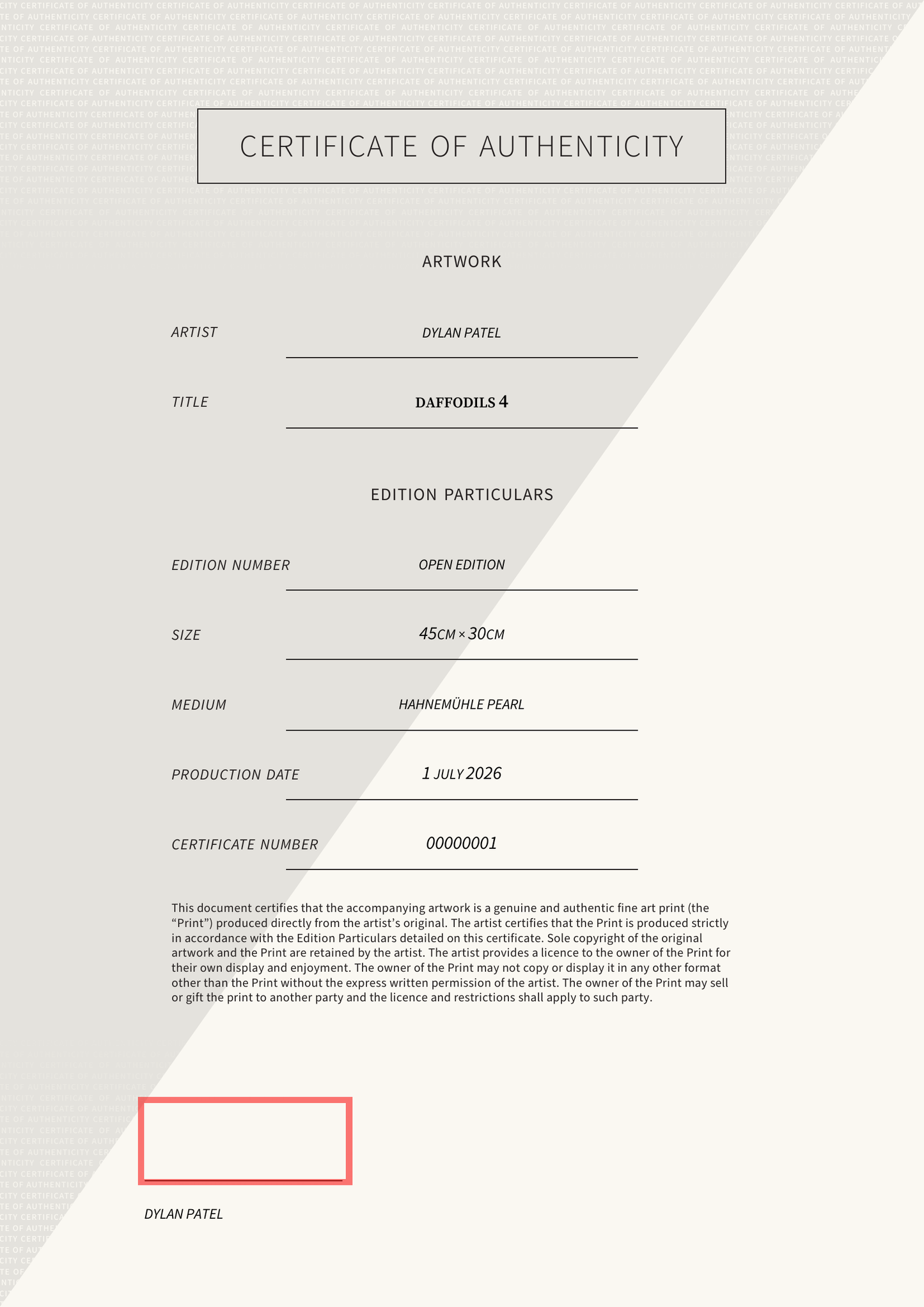 Daffodils 4 — Certificate of Authenticity