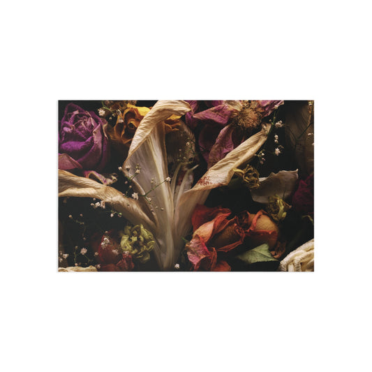 Transience 1 Giclée Postcard