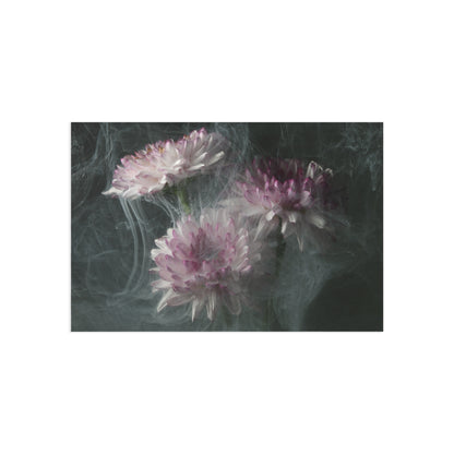 Transience 4 Giclée Postcard
