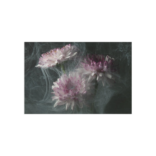 Transience 4 Giclée Postcard