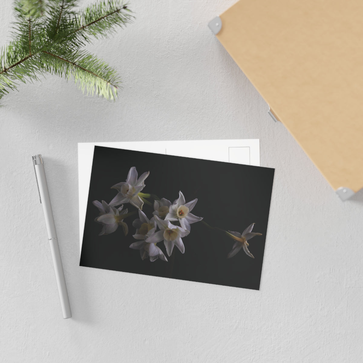 Daffodils 2 Giclée Postcard