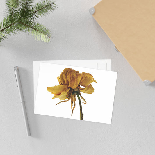 Transience 3 Giclée Postcard