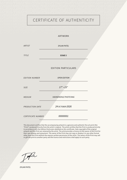 Esme I — Certificate of Authenticity