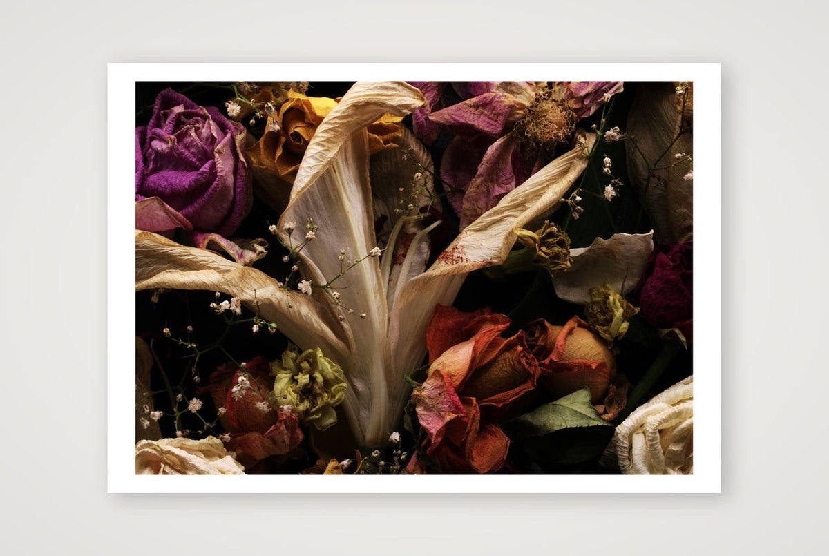Transience 1 — 33×23" Print only