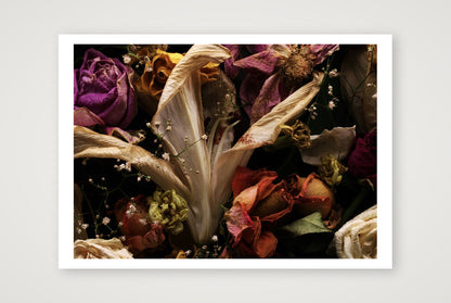 Transience 1 — 33×23" Print only