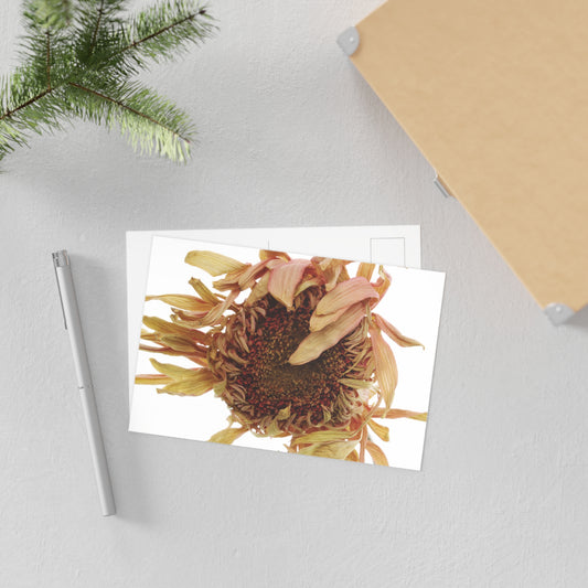 Transience 2 Giclée Postcard