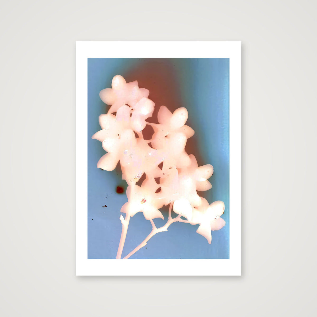 Esme I — A4 (8×12") Print only