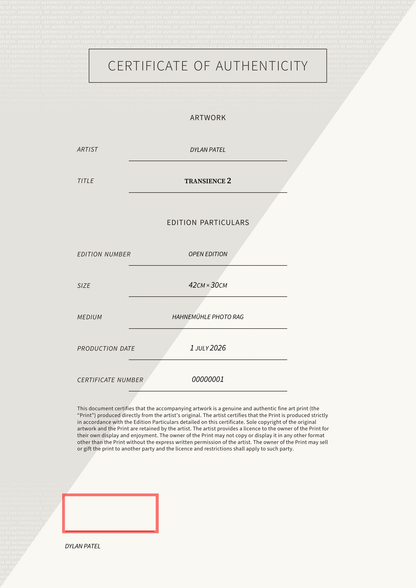 Transience 2 — Certificate of Authenticity
