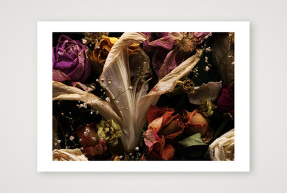 Transience 1 — 12×8" Print only