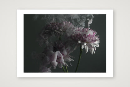 Transience 6 — A3 (17×12") Print only
