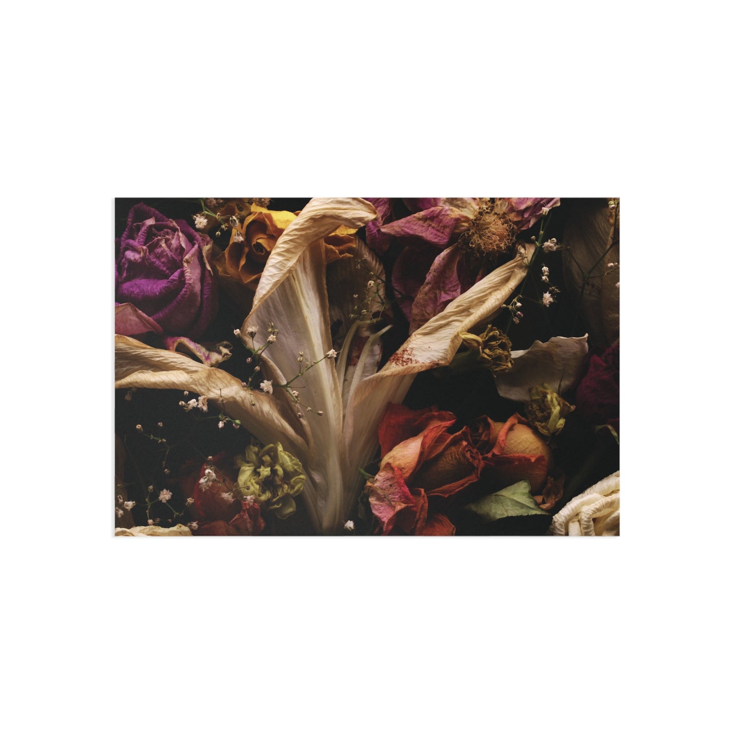 Transience 1 Giclée Postcard