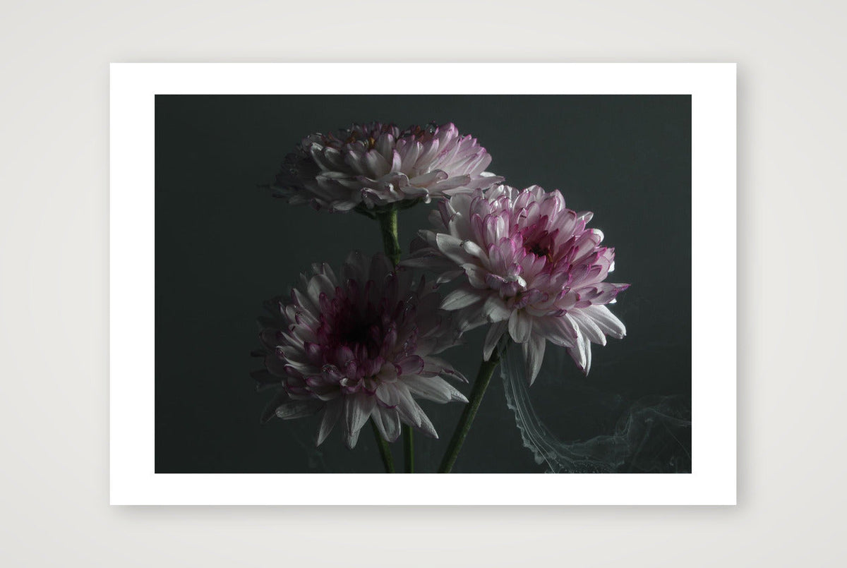 Transience 5 — A4 (12×8") Print only