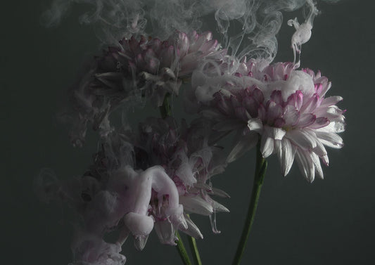 Transience 6