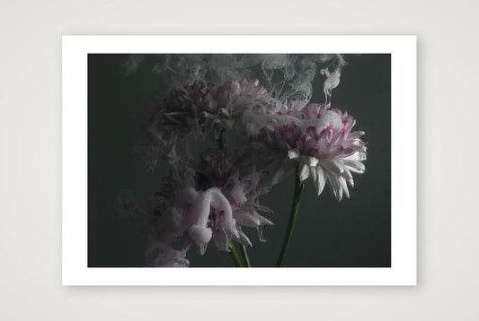 Transience 6 — A4 (12×8") Print only
