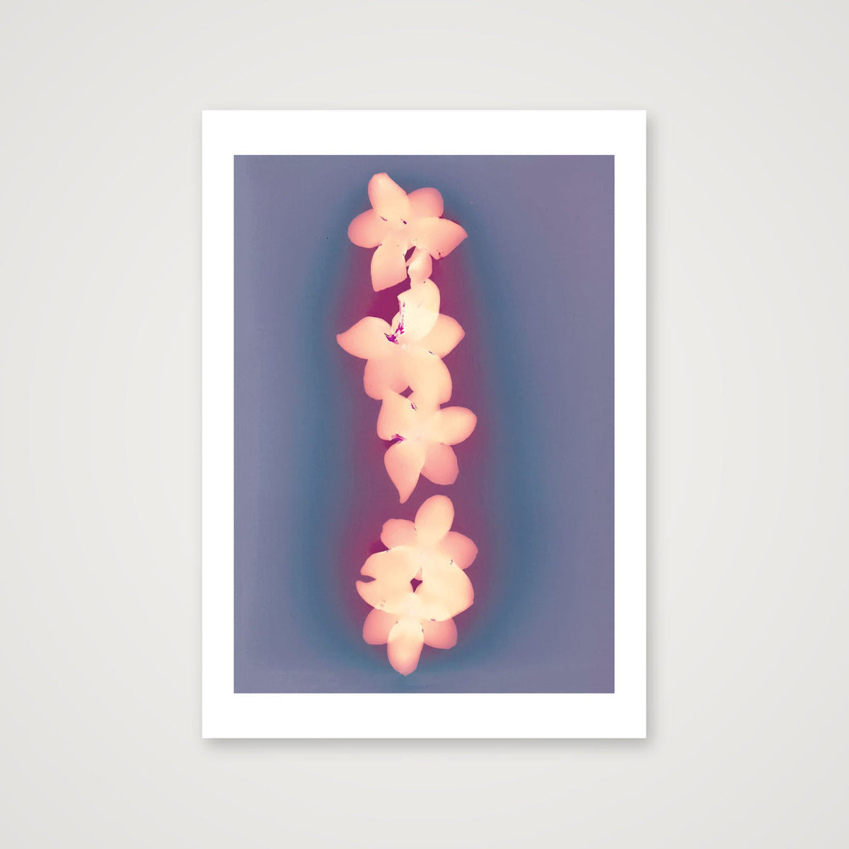 Esme II — A3 (12×17") Print only