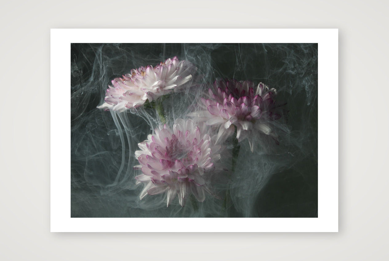 Transience 4 — 17×12" Print only