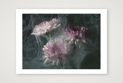 Transience 4 — 17×12" Print only