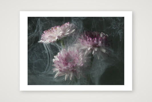 Transience 4 — A3 (17×12") Print only