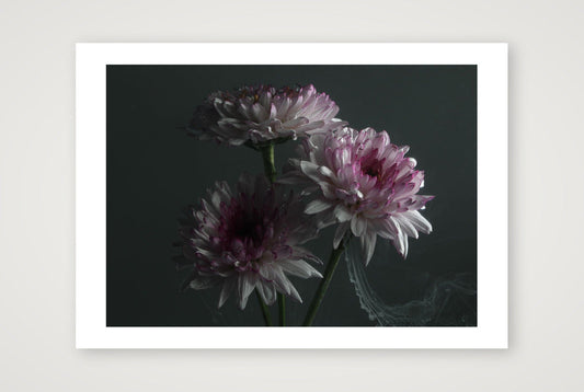 Transience 5 — A3 (17×12") Print only