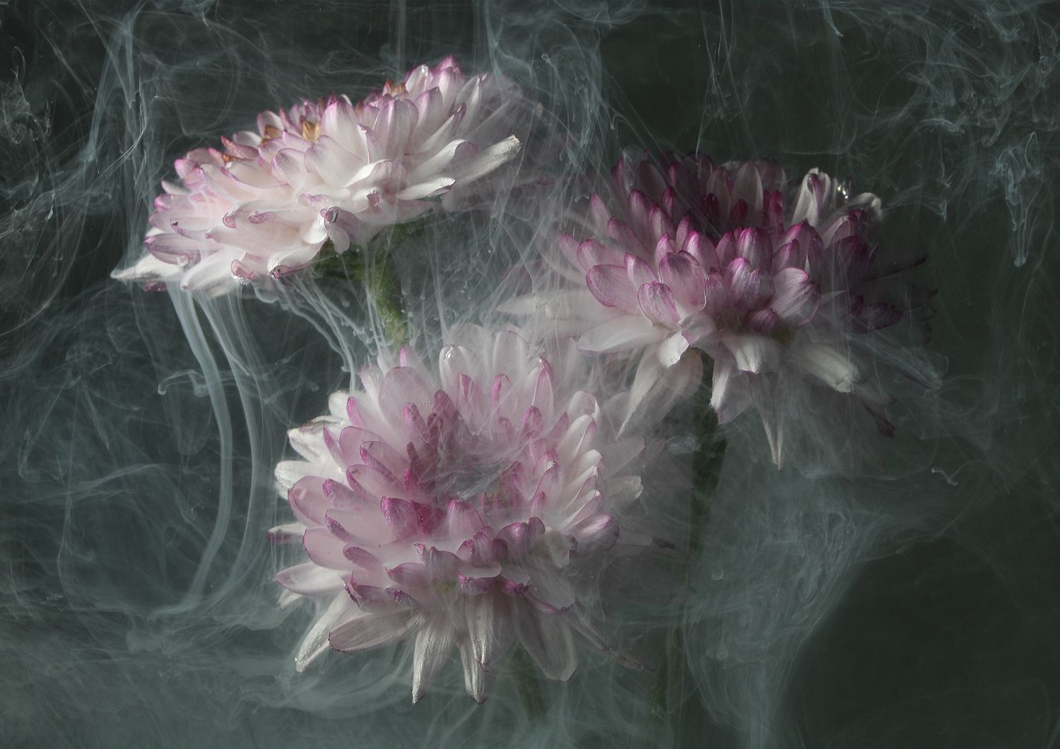 Transience 4