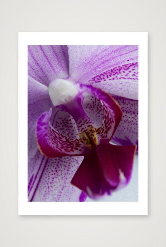 Toshi 1 — A4 (8×12") Print only