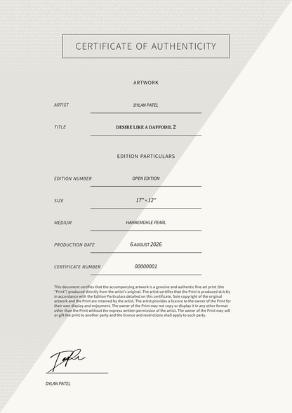 Desire Like a Daffodil 2 — Certificate of Authenticity
