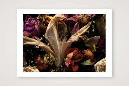 Transience 1 — 23×17" Print only