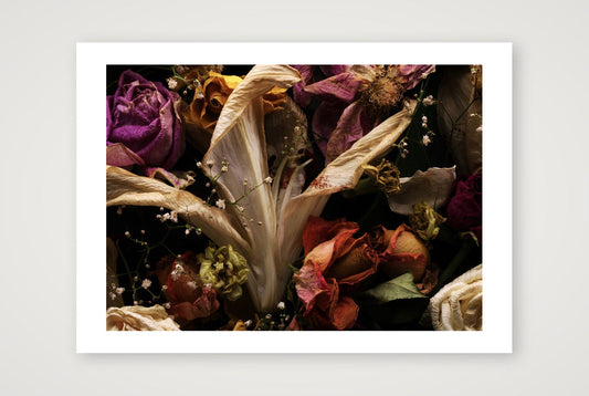 Transience 1 — 23×17" Print only