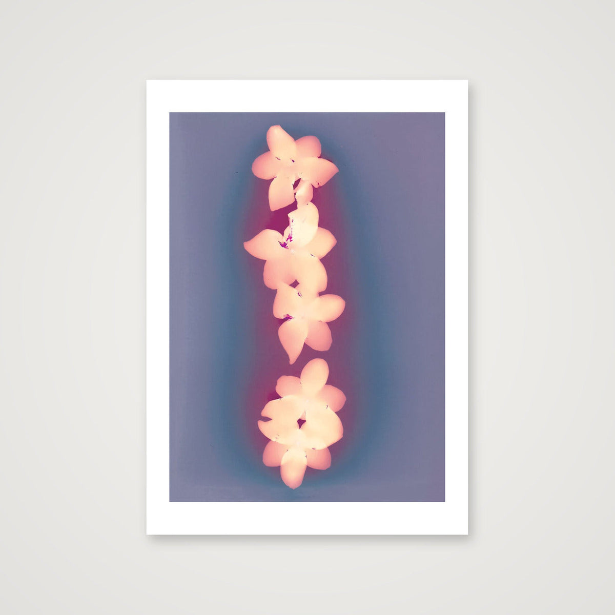 Esme II — A4 (8×12") Print only